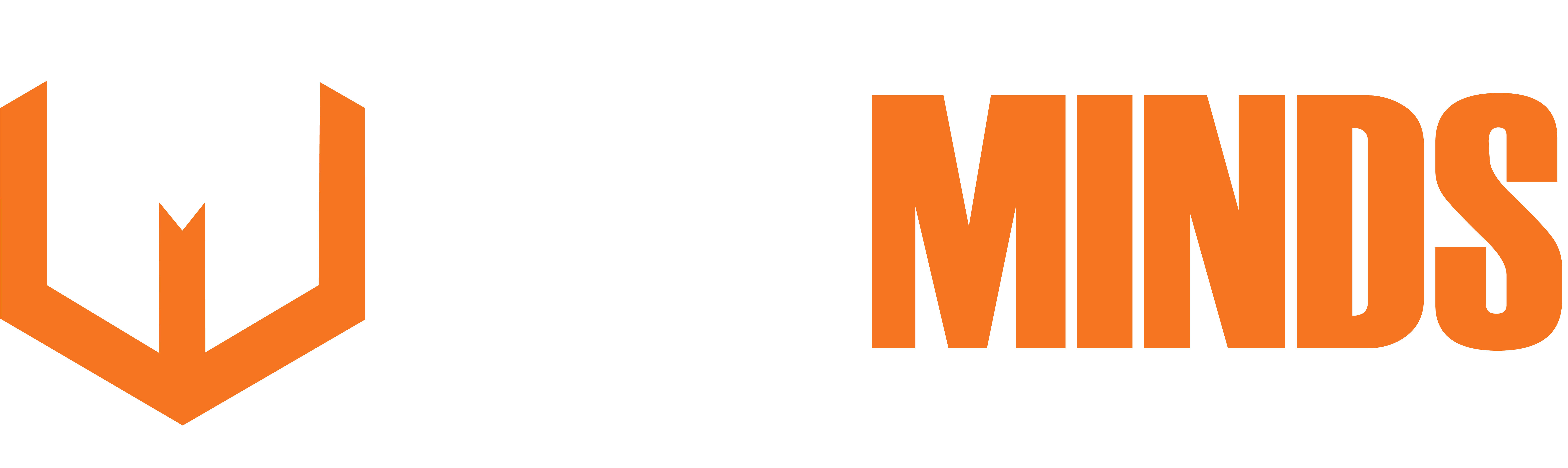 WebMINDS Logo